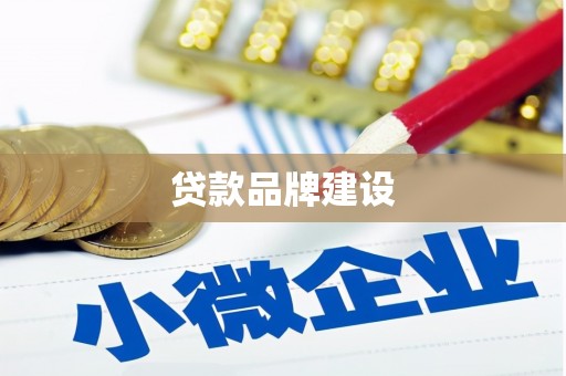 隆子贷款品牌建设