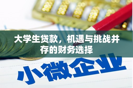 双清大学生贷款，机遇与挑战并存的财务选择