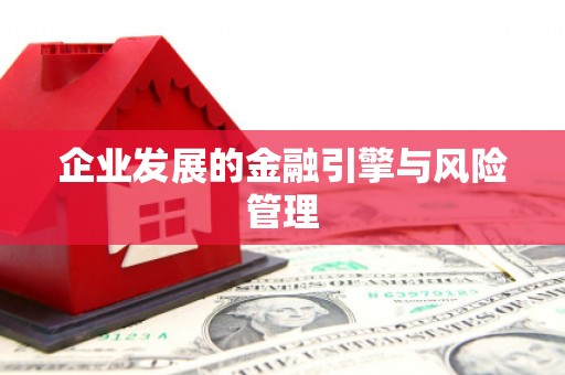 阳山企业发展的金融引擎与风险管理