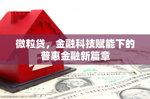 武侯微粒贷，金融科技赋能下的普惠金融新篇章