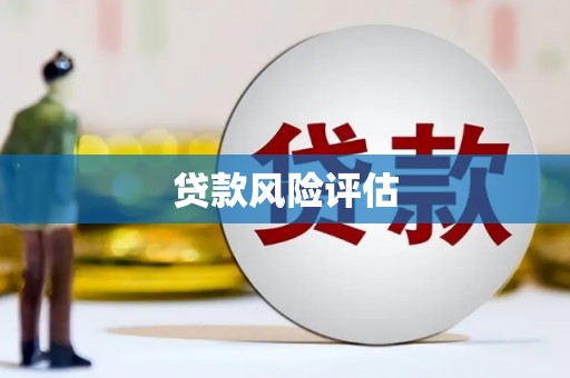 公安贷款风险评估