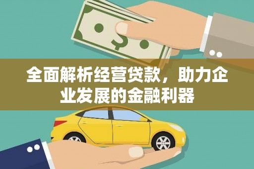 牡丹全面解析经营贷款，助力企业发展的金融利器
