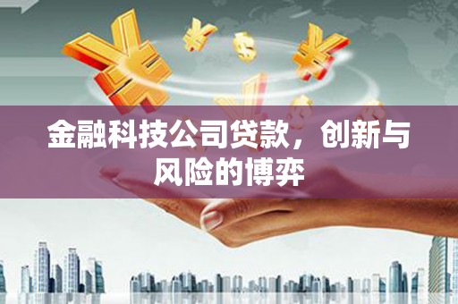 修水金融科技公司贷款，创新与风险的博弈
