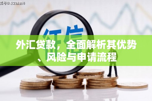 咸宁外汇贷款，全面解析其优势、风险与申请流程