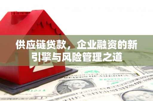 民丰供应链贷款，企业融资的新引擎与风险管理之道