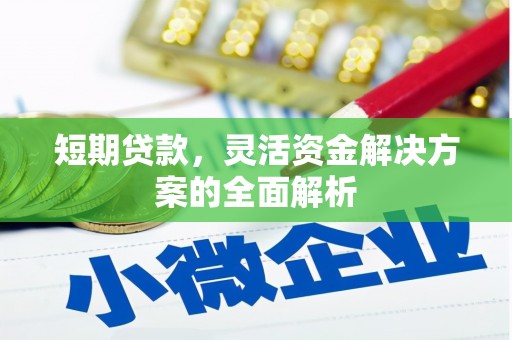 静海短期贷款，灵活资金解决方案的全面解析