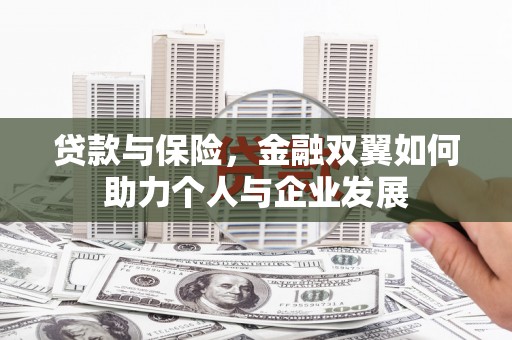 原州贷款与保险，金融双翼如何助力个人与企业发展
