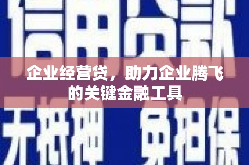 玛曲企业经营贷，助力企业腾飞的关键金融工具