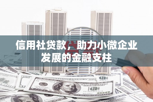 麦积信用社贷款，助力小微企业发展的金融支柱