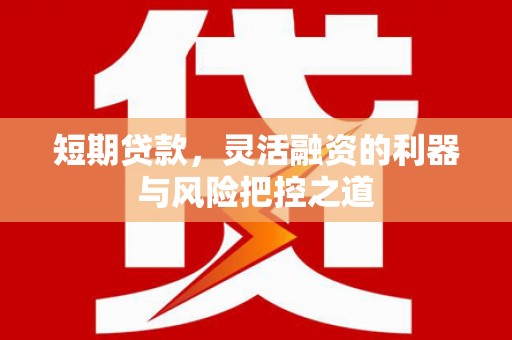 高阳短期贷款，灵活融资的利器与风险把控之道