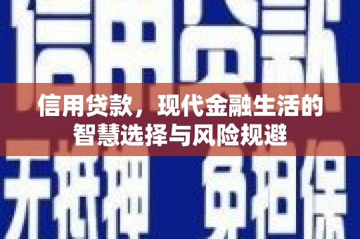 从化信用贷款，现代金融生活的智慧选择与风险规避