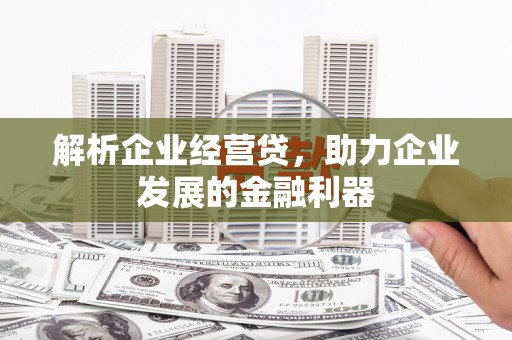 贵溪解析企业经营贷，助力企业发展的金融利器