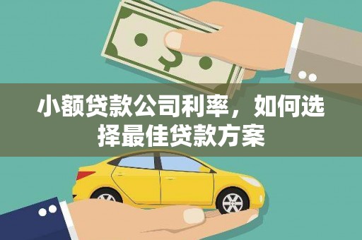 颍上小额贷款公司利率，如何选择最佳贷款方案