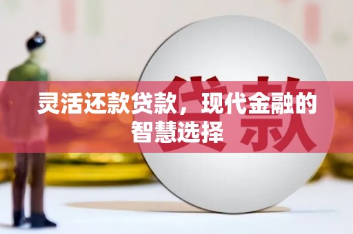 佛冈灵活还款贷款，现代金融的智慧选择