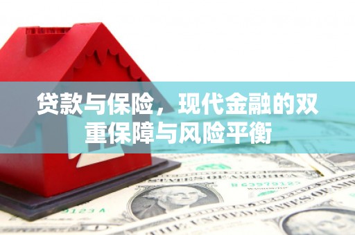 安乡贷款与保险，现代金融的双重保障与风险平衡