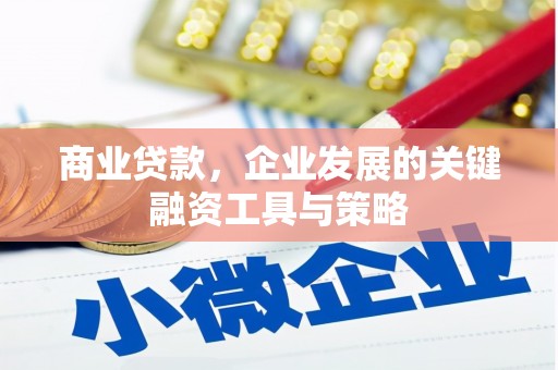 仁怀商业贷款，企业发展的关键融资工具与策略