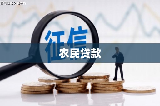 天元农民贷款