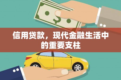 中坜信用贷款，现代金融生活中的重要支柱