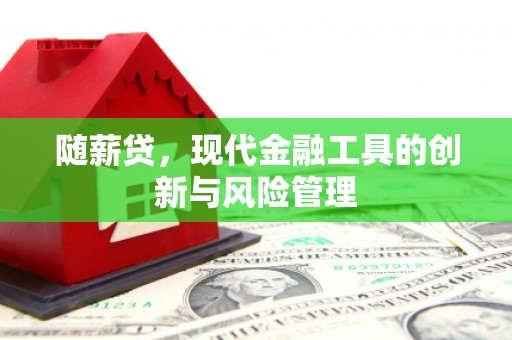 越秀随薪贷，现代金融工具的创新与风险管理