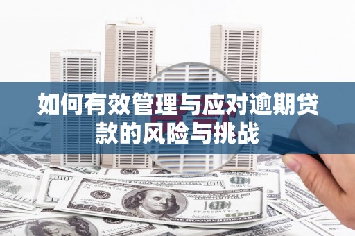 壶关如何有效管理与应对逾期贷款的风险与挑战