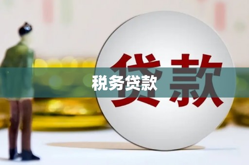 嘉禾税务贷款