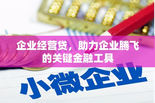 木兰企业经营贷，助力企业腾飞的关键金融工具