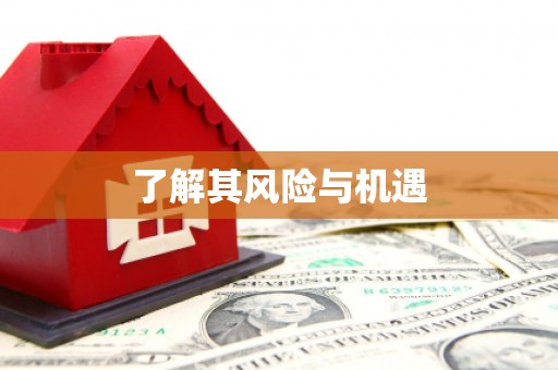 微山了解其风险与机遇