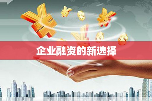龙州企业融资的新选择