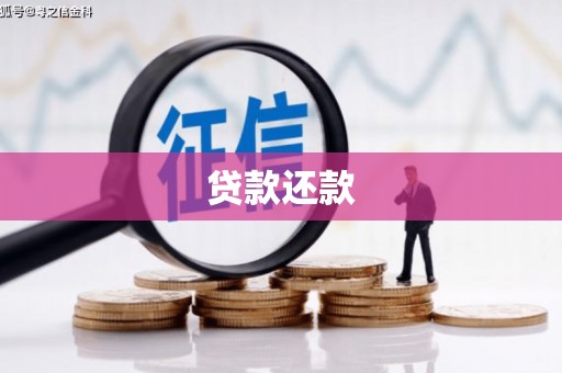 云梦贷款还款
