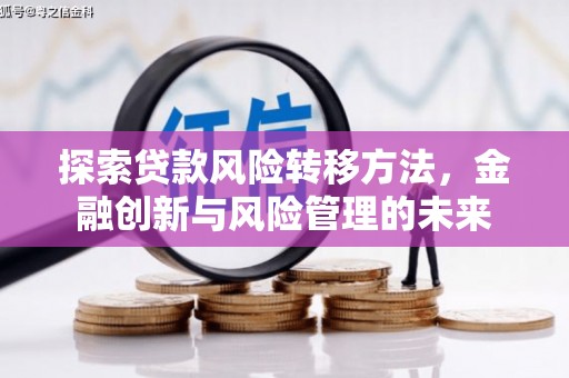 南海探索贷款风险转移方法，金融创新与风险管理的未来