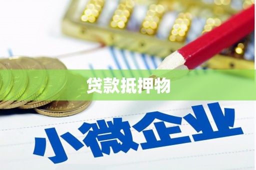 寿丰贷款抵押物