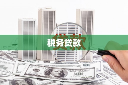 罗东税务贷款