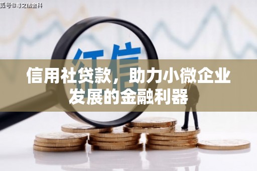沙坡头信用社贷款，助力小微企业发展的金融利器