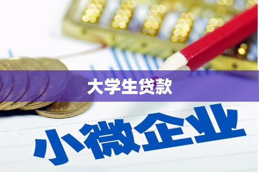 临安大学生贷款