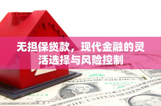 乡城无担保贷款，现代金融的灵活选择与风险控制
