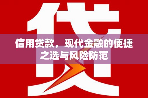 大丰信用贷款，现代金融的便捷之选与风险防范