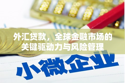 张家界外汇贷款，全球金融市场的关键驱动力与风险管理