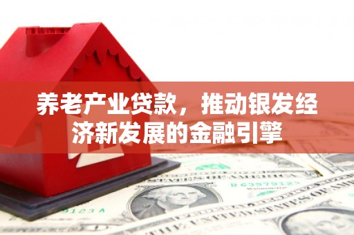 长岭养老产业贷款，推动银发经济新发展的金融引擎