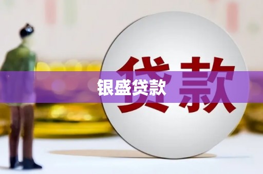 德兴银盛贷款