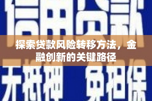 武川探索贷款风险转移方法，金融创新的关键路径