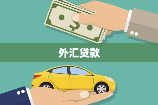 龙沙外汇贷款