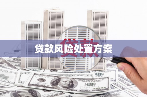 萨嘎贷款风险处置方案
