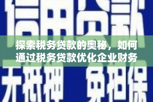内湖探索税务贷款的奥秘，如何通过税务贷款优化企业财务