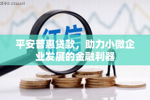 岳塘平安普惠贷款，助力小微企业发展的金融利器