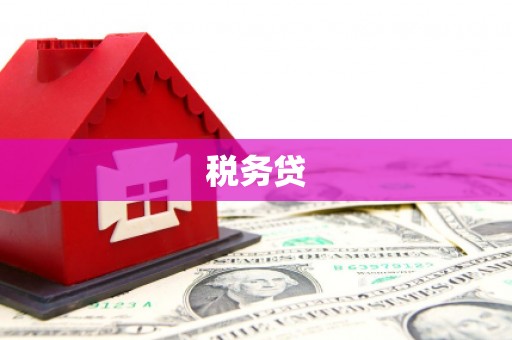 长洲税务贷