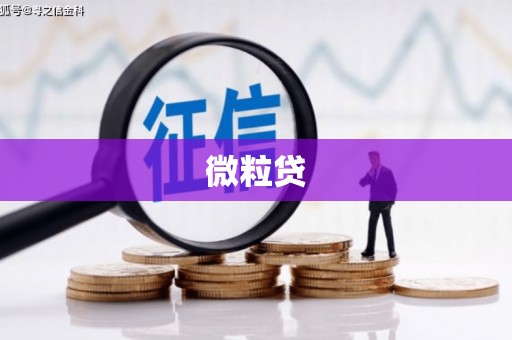 汾阳微粒贷