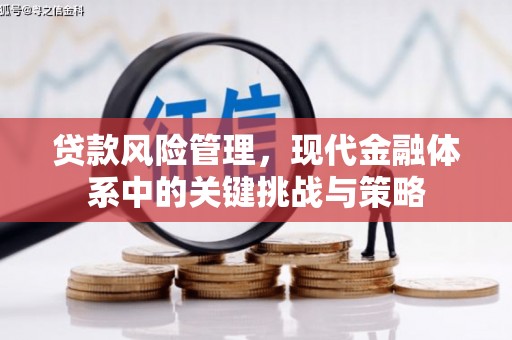 弥勒贷款风险管理，现代金融体系中的关键挑战与策略