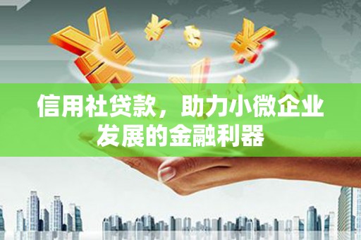 南丹信用社贷款，助力小微企业发展的金融利器