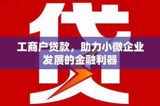宝塔工商户贷款，助力小微企业发展的金融利器