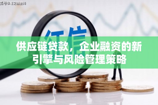 麻山供应链贷款，企业融资的新引擎与风险管理策略